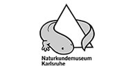 Logo Staatliches Museum für Naturkunde Karlsruhe. Das SMNK ist Kunde der Filmproduktion Karlsruhe mp-film.